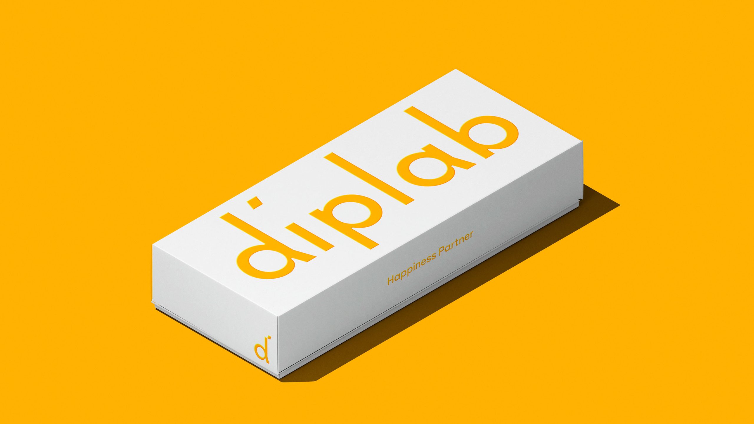 Diplab-Branding-by-YaStudio-18