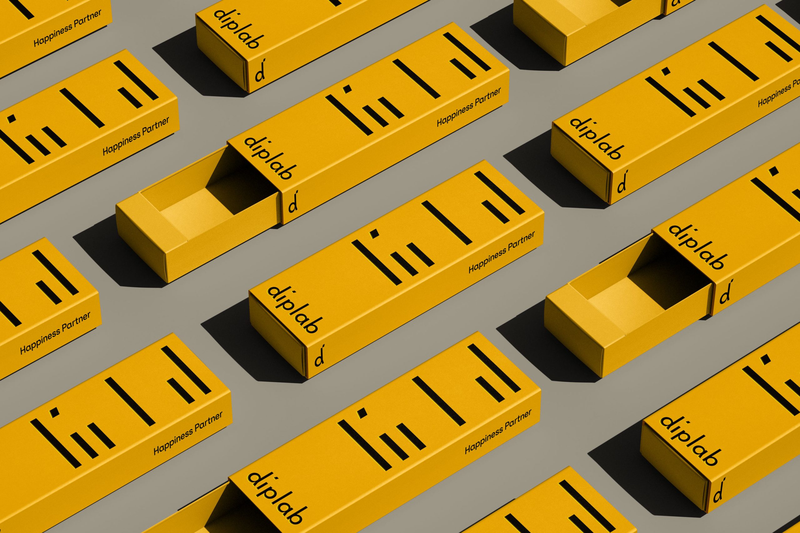 Diplab-Branding-by-YaStudio-19