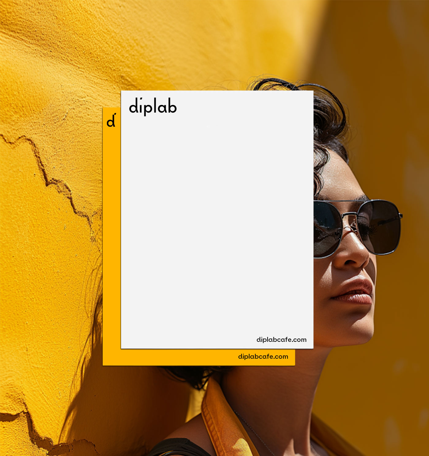 Diplab-Branding-by-YaStudio-24